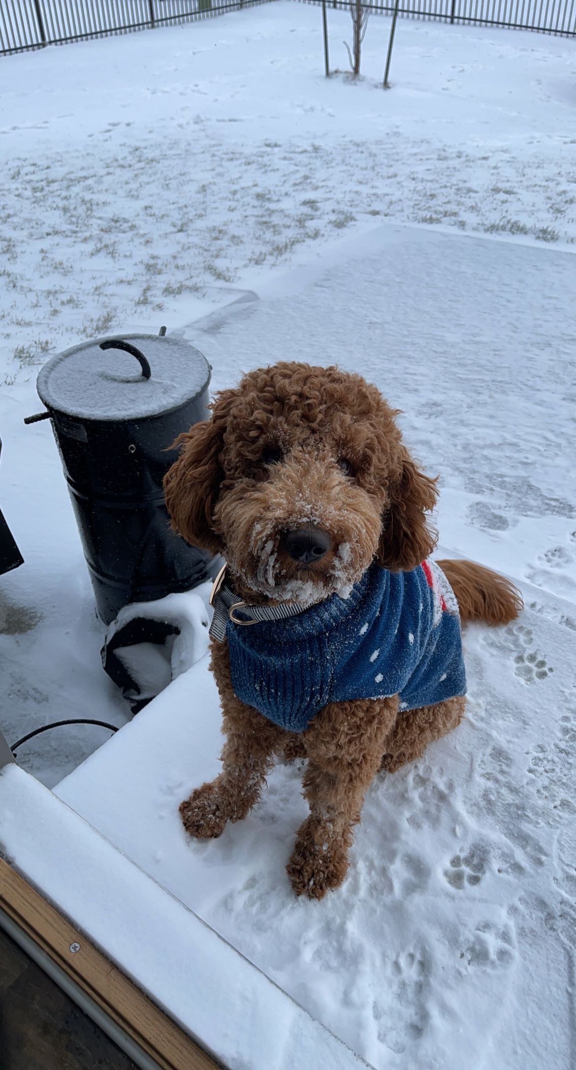 Rogi Solorzano-Main athlete profile head shot