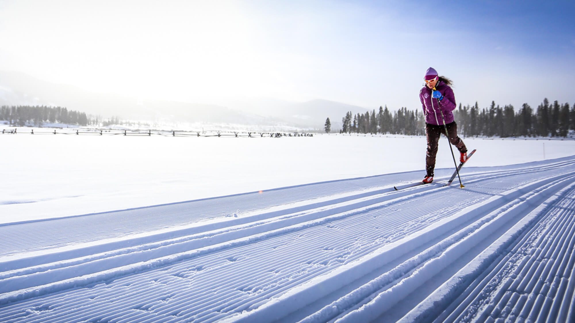 Carly Kleefeld athlete profile head shot